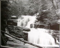 West West Falls, Forestville PA
