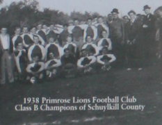Primrose Lions
